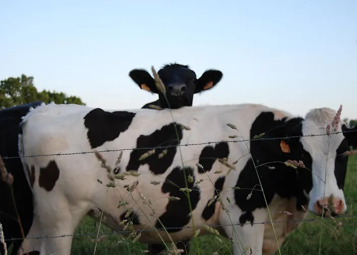 Holiday home Rustic And Spacious Converted Barn *
